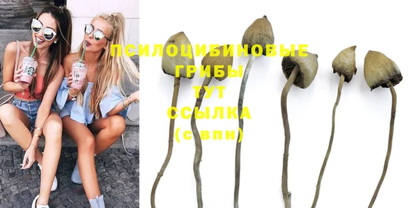 ешки Семёнов