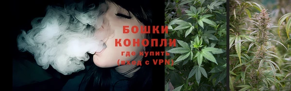 прущие крисы Балахна
