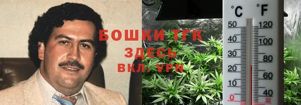 PSILOCYBIN Баксан